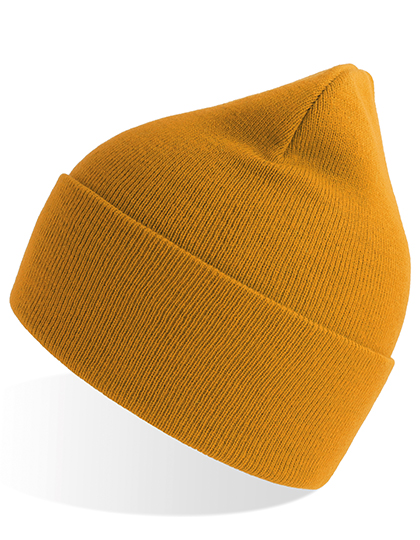 Atlantis Headwear Pure Beanie