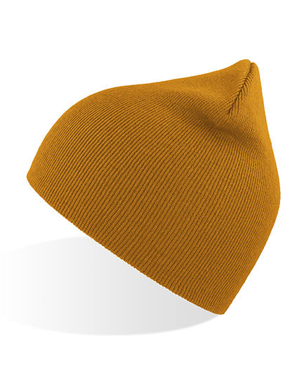 Atlantis Headwear Recy Beanie