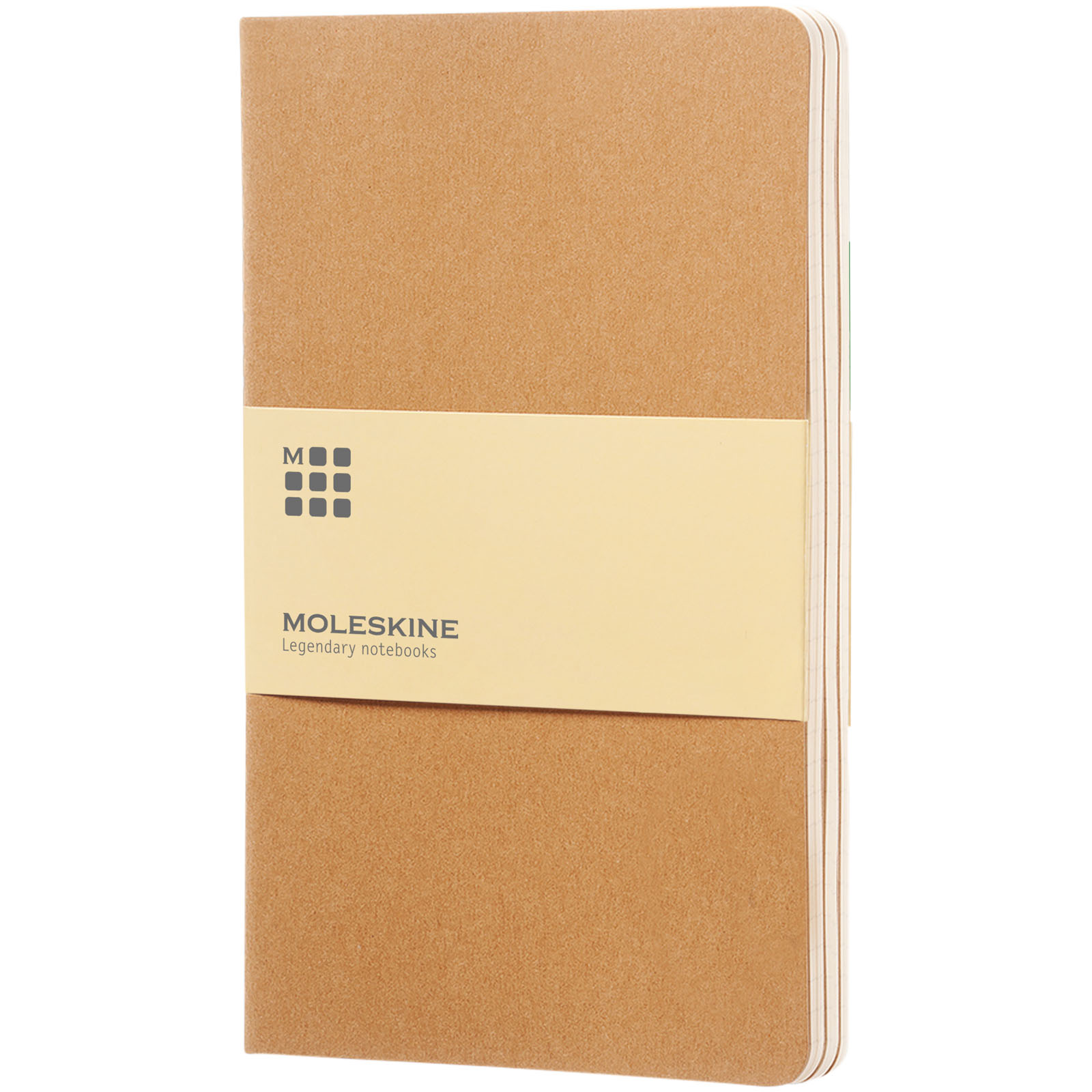 Moleskine Cahier Journal L – liniert