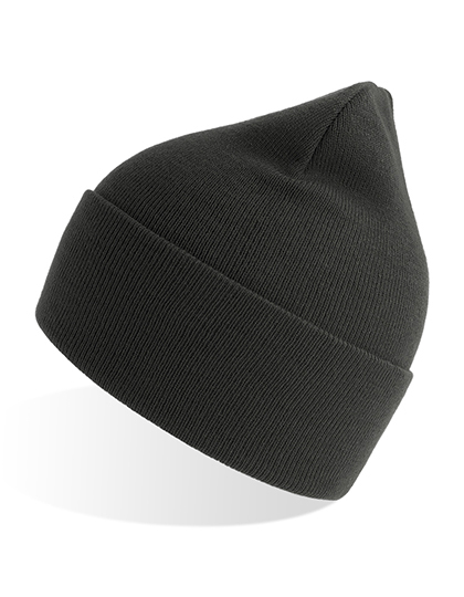 Atlantis Headwear Pure Beanie